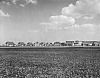 Rheinbach_11.jpg