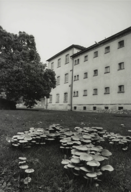 Anstalt_Feuerwehr_13.jpg
