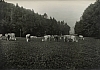 Stra_Bilder_s-w_0001.jpg