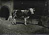 Stra_Bilder_s-w_0014.jpg