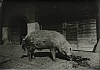 Stra_Bilder_s-w_0016.jpg