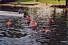 2002_2.jpg