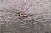 2003_4.jpg