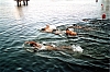 2005_8.jpg