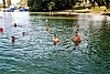 2005_9.jpg