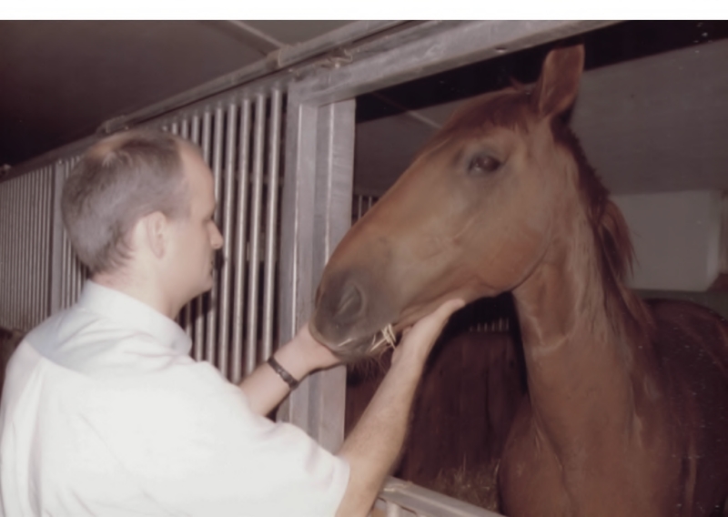 Wauwilermoos_6.jpg