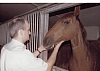 Wauwilermoos_6.jpg